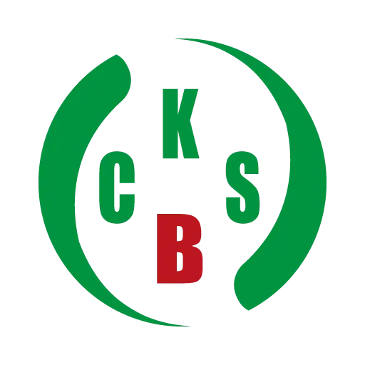 CKS BUSINESS