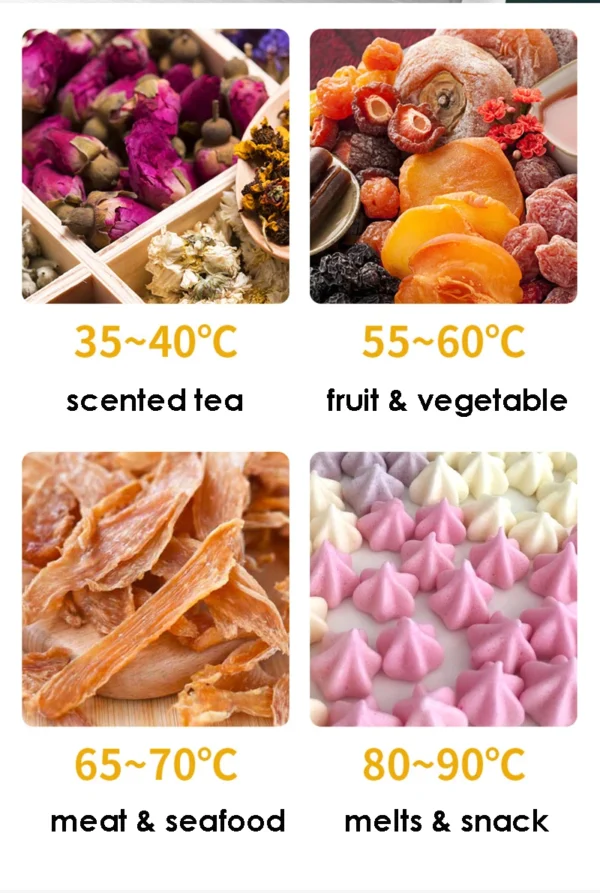 220V/110V 6 Layers Food Dehydrator Stainless Steel Fruit Vegetable Meat Beef Jerky Dryer Machine Snacks Dehydration Touch Panel – Image 18